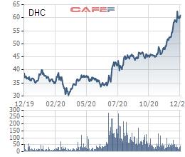 Dohaco (DHC) chốt quyền tạm ứng cổ tức bằng tiền tỷ lệ 20% - Ảnh 1.