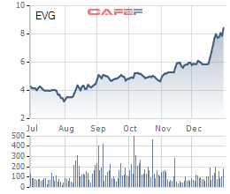 EVG tăng 50% từ đầu tháng 12, Everland chào bán 45 triệu cổ phiếu cho cổ đông hiện hữu - Ảnh 1.