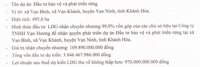 Đầu tư LDG (LDG): Quý 4 lãi vỏn vẹn 342 triệu đồng do hụt nguồn thu tài chính - Ảnh 3.