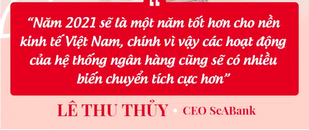 CEO SeABank Lê Thu Thủy: Sẽ có cuộc chạy đua gay gắt trong ngành ngân hàng năm 2021 - Ảnh 2.