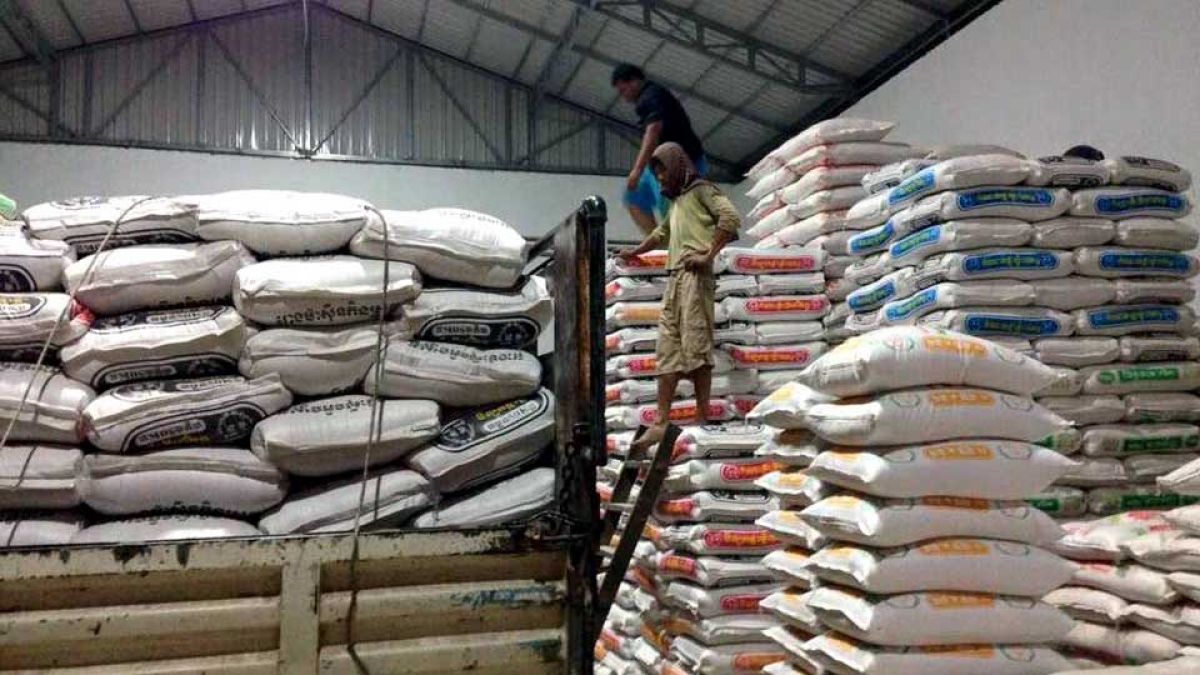 Kim ngạch xuất khẩu gạo của Campuchia giảm hơn 44% - Ảnh 1.