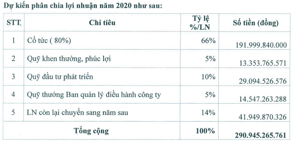 Nam Tân Uyên (NTC) dự kiến chia cổ tức 80% cho năm 2020 - Ảnh 1.