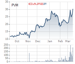 PV Power bán khớp lệnh gần 20 triệu cổ phần PV Machino kể từ 12/3 - Ảnh 1.