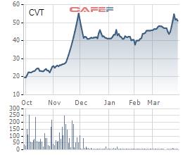 CVT chi trả cổ tức bằng tiền tỷ lệ 20%, mua 3,6 triệu cổ phiếu sau khi lộ diện cổ đông chi phối - Ảnh 1.