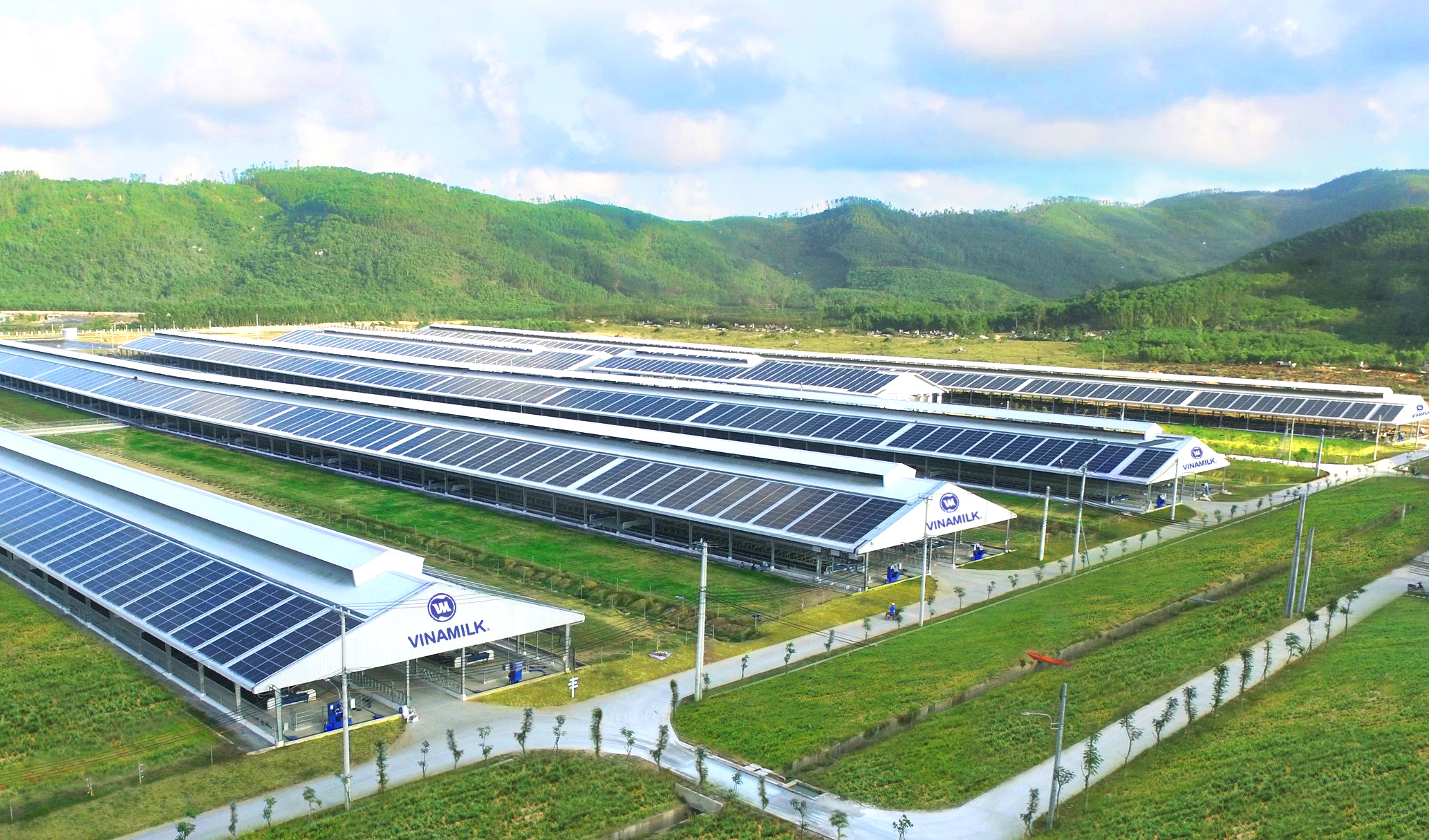 Hệ thống trang trại Vinamilk Green Farm (tạiQuảng Ngãi, Tây Ninh, Thanh Hóa) sẽ được công ty đầu tư phát triển trong thời gian tới.
