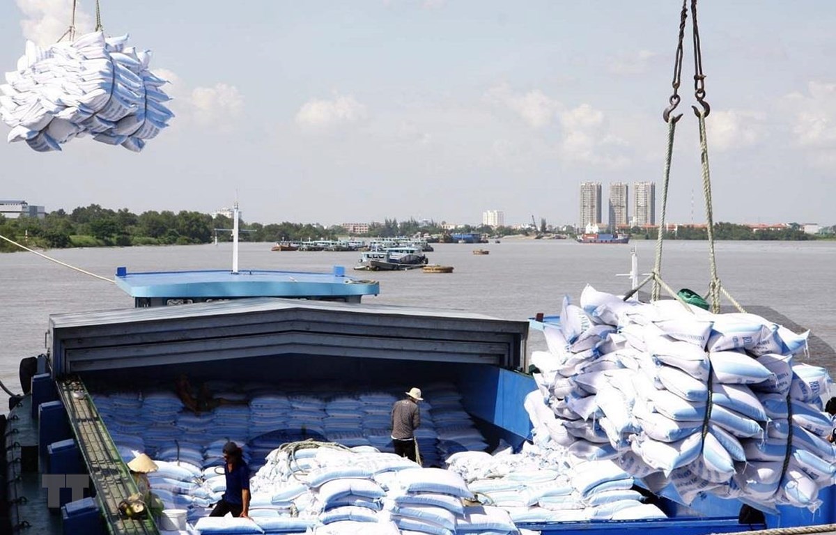 Bốc xếp gạo xuất khẩu tại cảng TP HCM.  