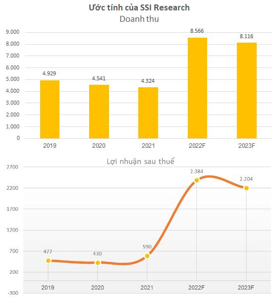 SSI Research: IDICO có thể đạt doanh thu hơn 3.500 tỷ đồng trong 6 ...