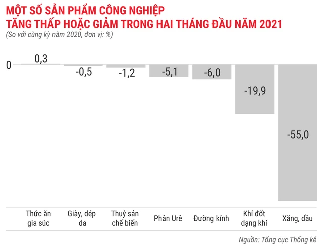 Toàn cảnh bức tranh kinh tế Việt Nam 2 tháng đầu năm 2021 - Ảnh 5.