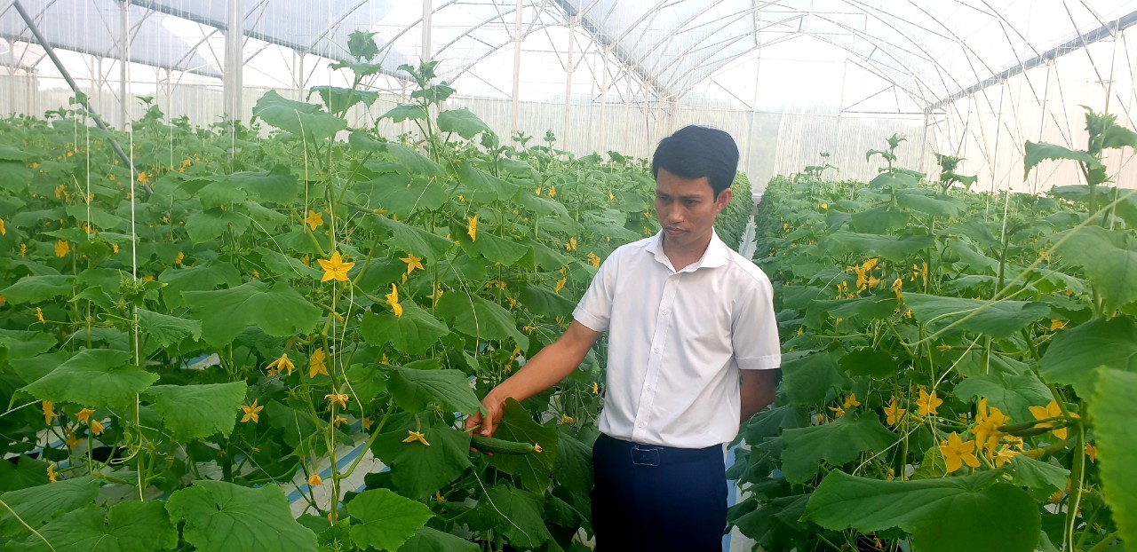 Quảng Ninh: Nông nghiệp công nghệ cao làm thay đổi huyện nghèo