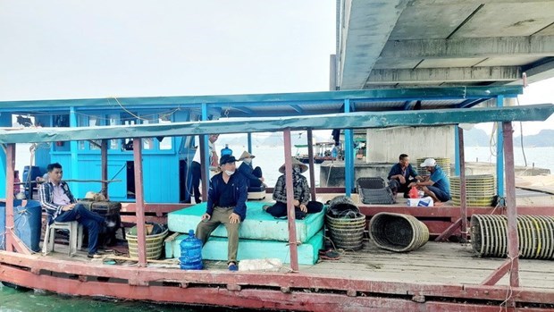 Quảng Ninh: Khai trừ Đảng Chủ tịch phường liên quan vụ 'bảo kê' nuôi trồng thủy sản