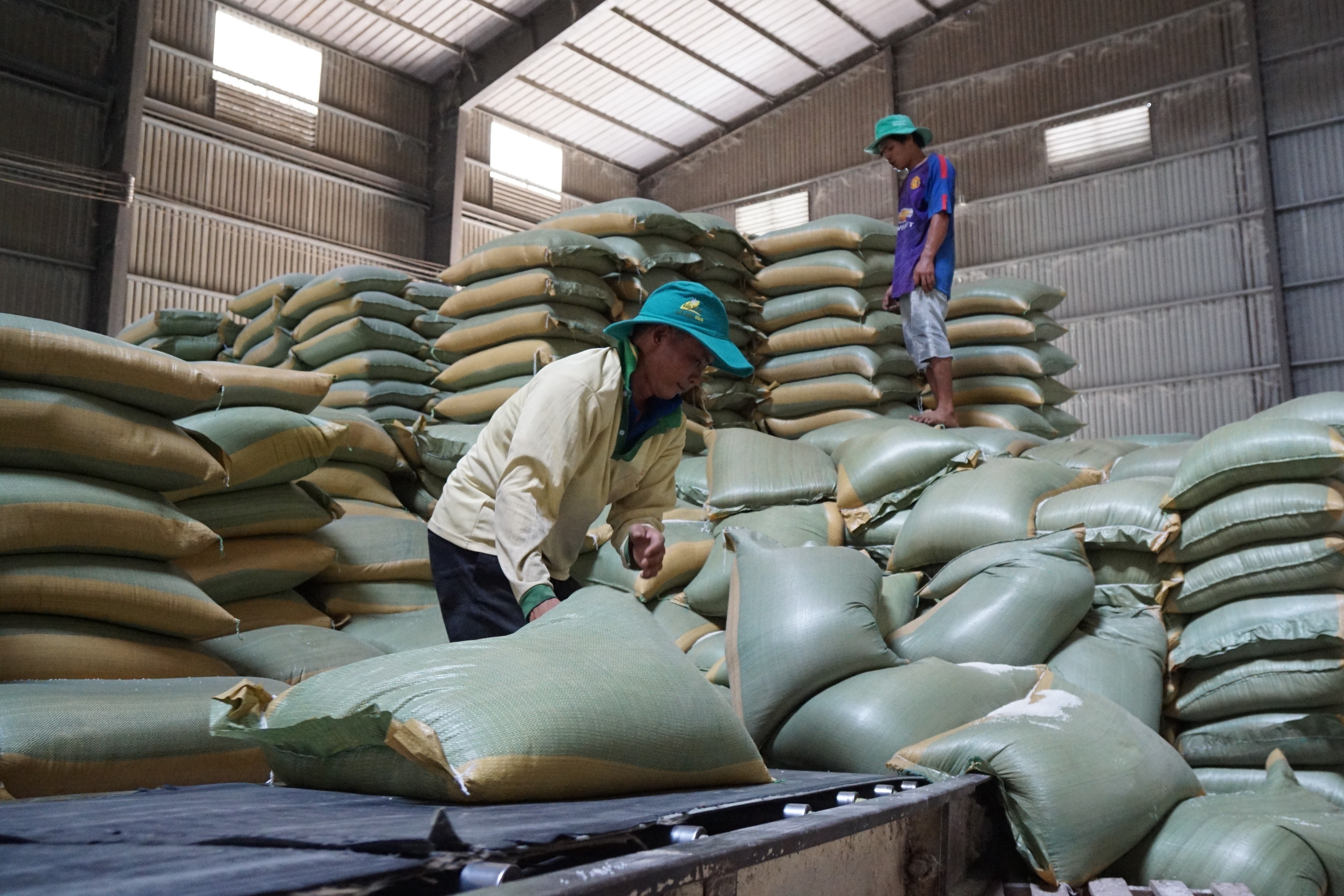 Gạo, mặt h&agrave;ng chiến lược xuất khẩu n&ocirc;ng sản của Việt Nam. Ảnh: Quang Vinh.