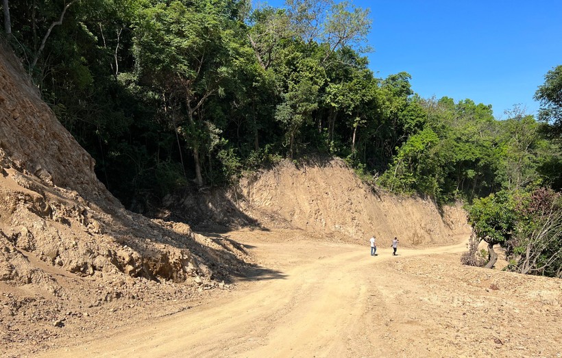 Phó Thủ tướng yêu cầu xác minh vụ phá rừng tự nhiên ở Quảng Ngãi