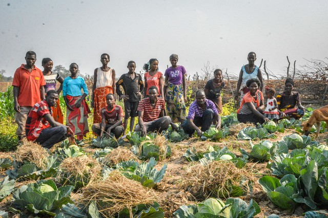 Tìm hiểu chính sách hỗ trợ nông nghiệp hiệu quả của Zambia là bài học quý cho Việt Nam