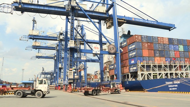 Hơn 1.500 container phế liệu nằm ăn vạ ở cảng Cát Lái nhiều năm - Ảnh 2.