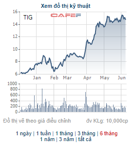 Thanglong Invest (TIG) thông qua phương án chào bán riêng lẻ 30 triệu cổ phiếu - Ảnh 1.