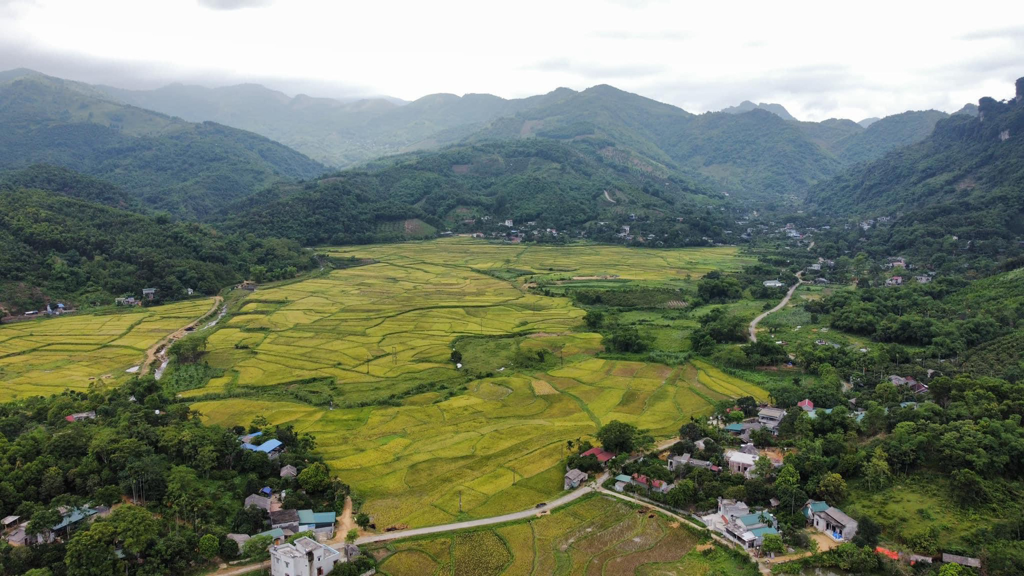 Nhiều người Hà Nội mua đất vệ tinh làm farmstay, homestay nghỉ dưỡng cuối tuần bỗng dưng thành nhà đầu tư thắng lớn nhờ giá đất tăng cao - Ảnh 1.