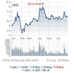 Dịch vụ Hoàng Huy (HHS) triển khai phương án phát hành 33 triệu cổ phiếu trả cổ tức - Ảnh 1.