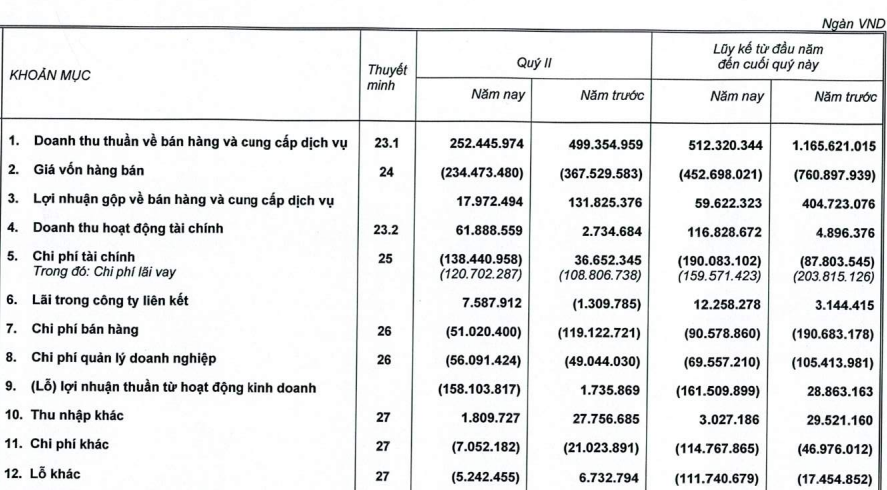 HAGL Agrico (HNG): Nửa đầu năm lỗ ròng 123 tỷ đồng, dư nợ tại Thaco chiếm đến 47% tổng tài sản với 7.359 tỷ đồng - Ảnh 1.