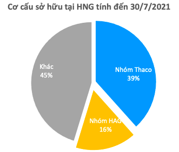 HAGL Agrico (HNG): Nửa đầu năm lỗ ròng 123 tỷ đồng, dư nợ tại Thaco chiếm đến 47% tổng tài sản với 7.359 tỷ đồng - Ảnh 3.