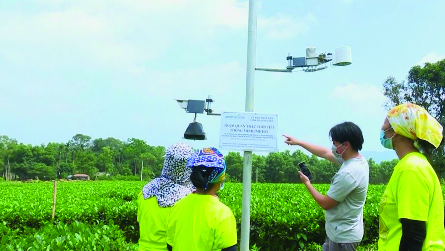 Trạm quan trắc thời tiết thông minh metos phục vụ việc chăm sóc sự sinh trưởng và phát triển của cây chè Thái Nguyên.